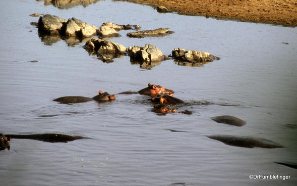 1999 Tanzania Serengetti 024
