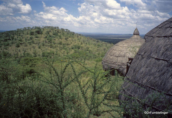 1999 Tanzania Serengetti 038