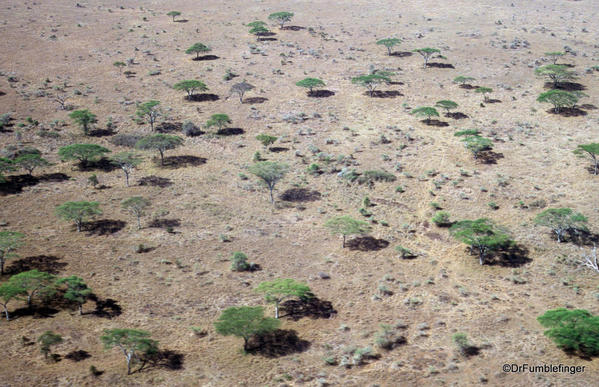 1999 Tanzania Serengetti 060 Flight to Serengeti