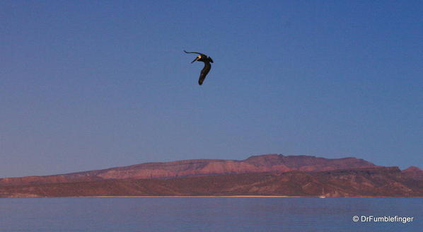 Baja-California-Espiritu-Santo- 2005-002