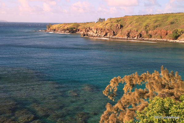 West-Maui-2013-081-Honolua Bay