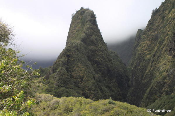 Central Maui 2013 007