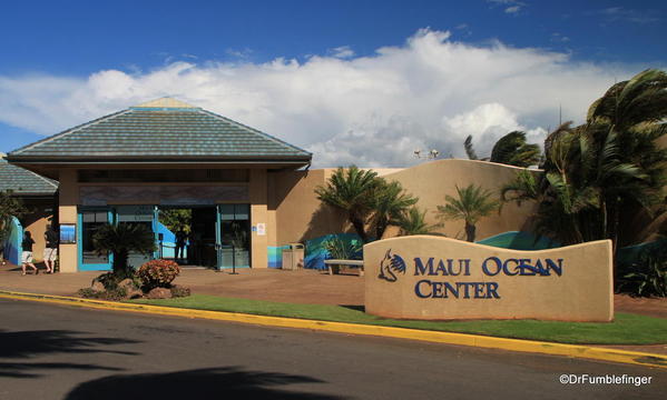 Central Maui 2013 015